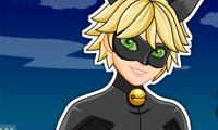 Cat Noir Giydirme
