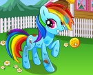 My Rainbow Pony Bakımı