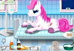 Sevimli Pony Bakımı